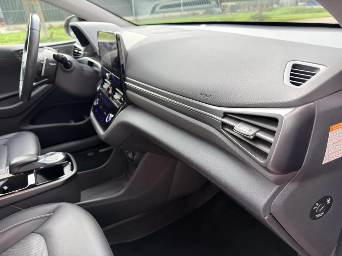 Premium EV 38 kWh Carplay|Leder|Camera|Warmtepomp
