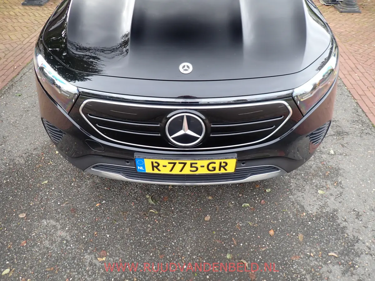 250 Luxury Line 7P 67 kWh SOH 95% / PANO / CAMERA / KEYLESS / STOELVERWARMING / SFEERVERLICHTING
