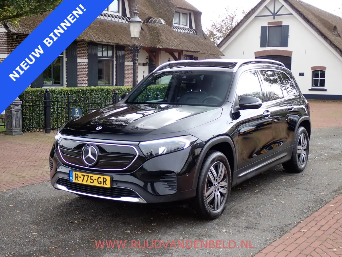 250 Luxury Line 7P 67 kWh SOH 95% / PANO / CAMERA / KEYLESS / STOELVERWARMING / SFEERVERLICHTING