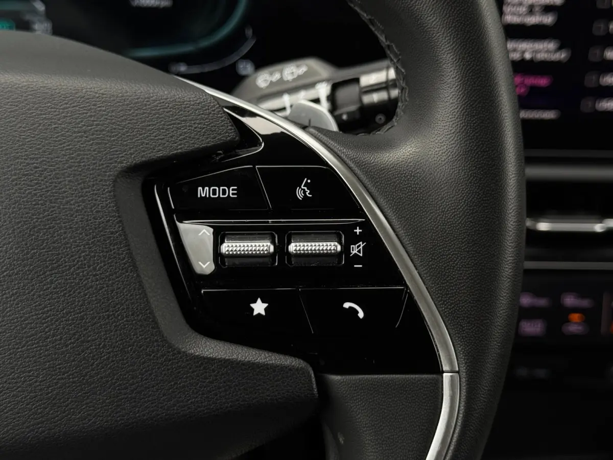 1.6 GDi PHEV DynamicLine | Camera | Cruise | Halfleer