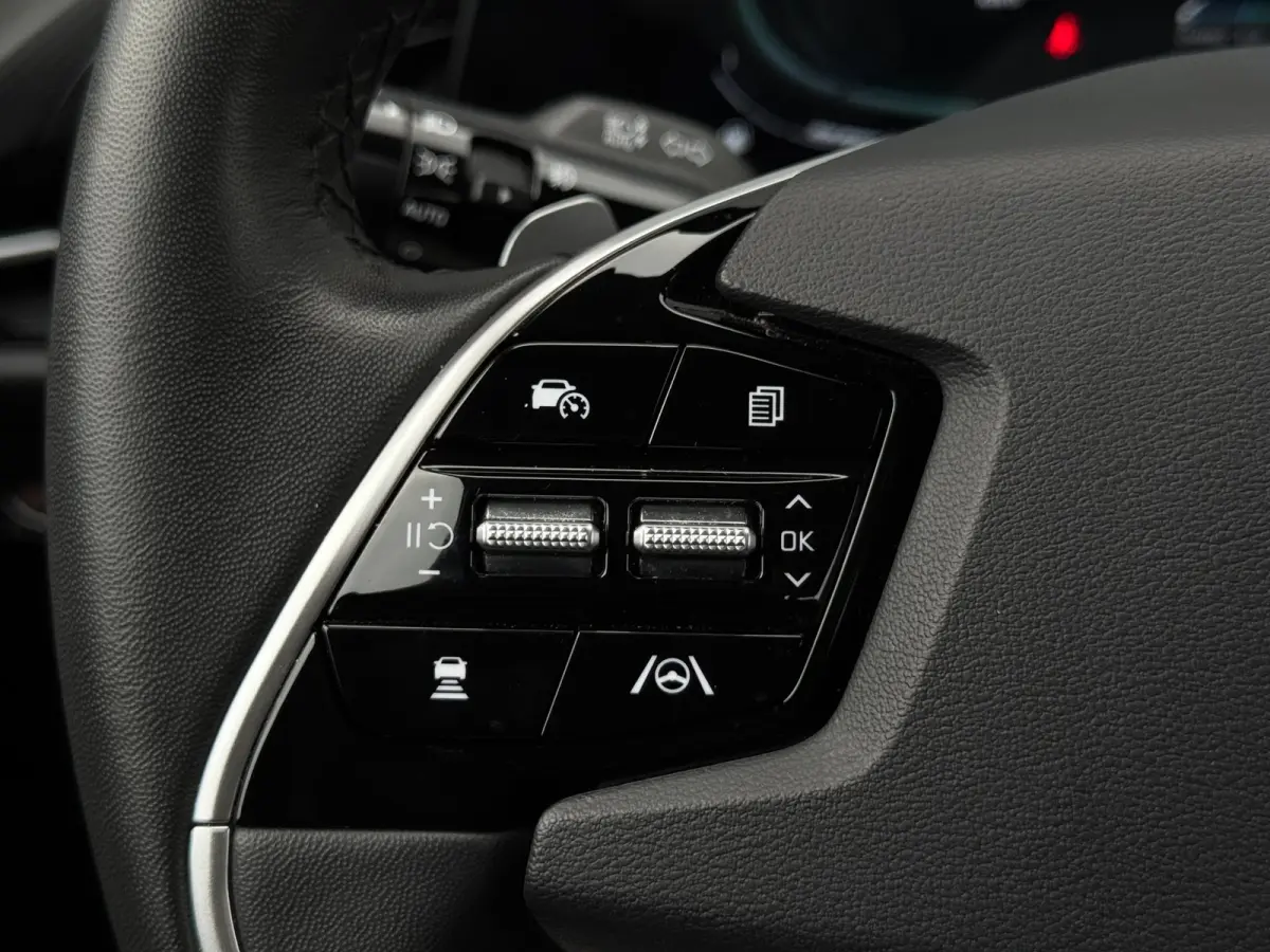 1.6 GDi PHEV DynamicLine | Camera | Cruise | Halfleer
