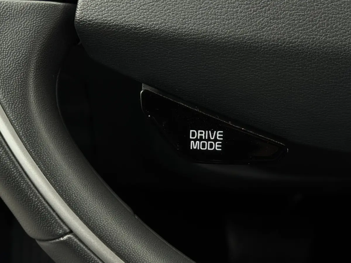 1.6 GDi PHEV DynamicLine | Camera | Cruise | Halfleer