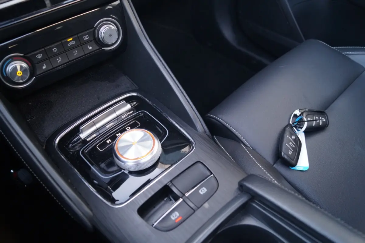 Luxury 45 kWh -SOH89%-PANO-LEER-NAVI-