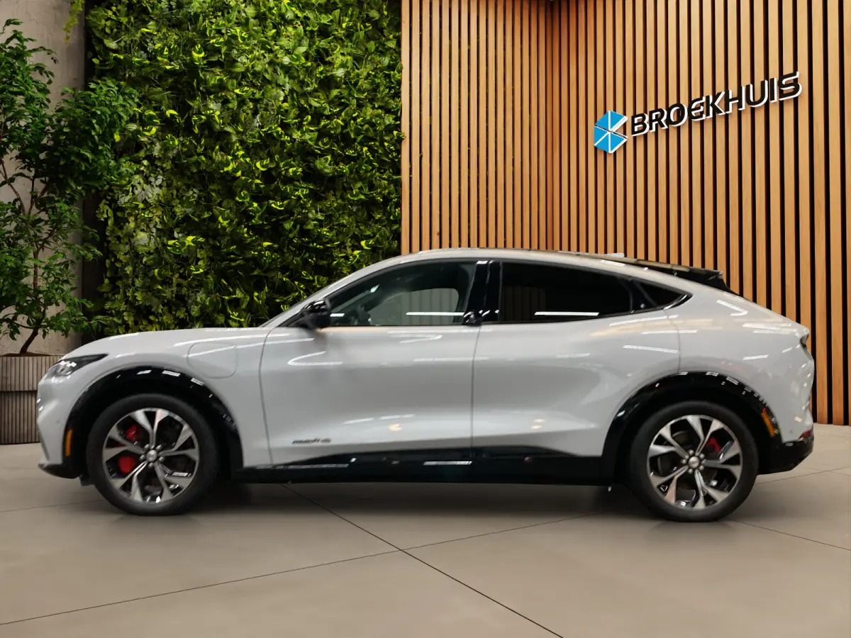 AWD 75 kWh | Adaptieve cruise | Stoel- stuurverw. | Carplay | Leder | B&O | LED |