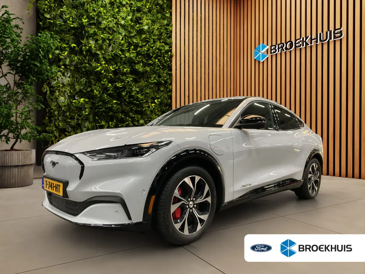 AWD 75 kWh | Adaptieve cruise | Stoel- stuurverw. | Carplay | Leder | B&O | LED |