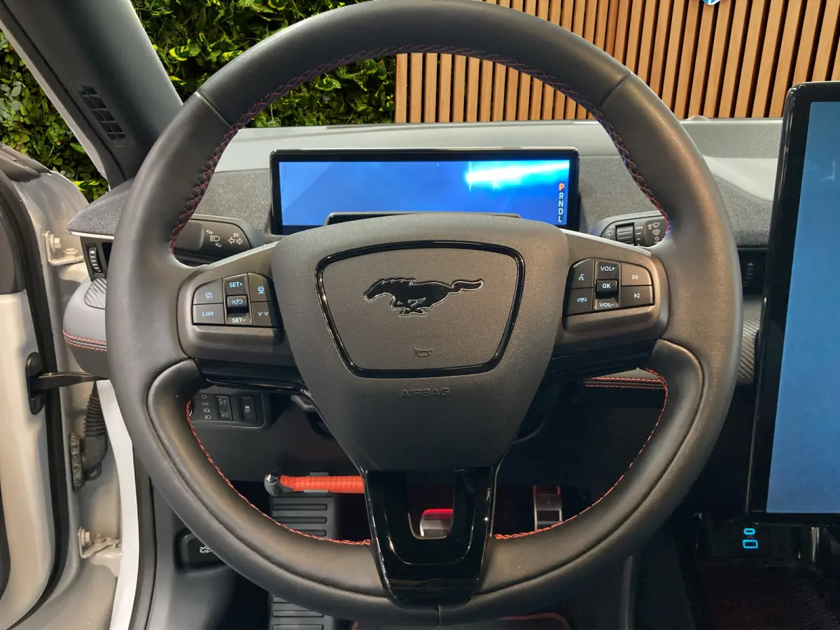 AWD 75 kWh | Adaptieve cruise | Stoel- stuurverw. | Carplay | Leder | B&O | LED |