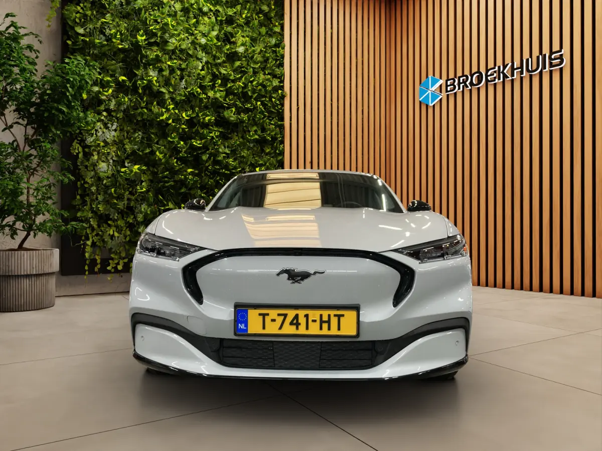 AWD 75 kWh | Adaptieve cruise | Stoel- stuurverw. | Carplay | Leder | B&O | LED |