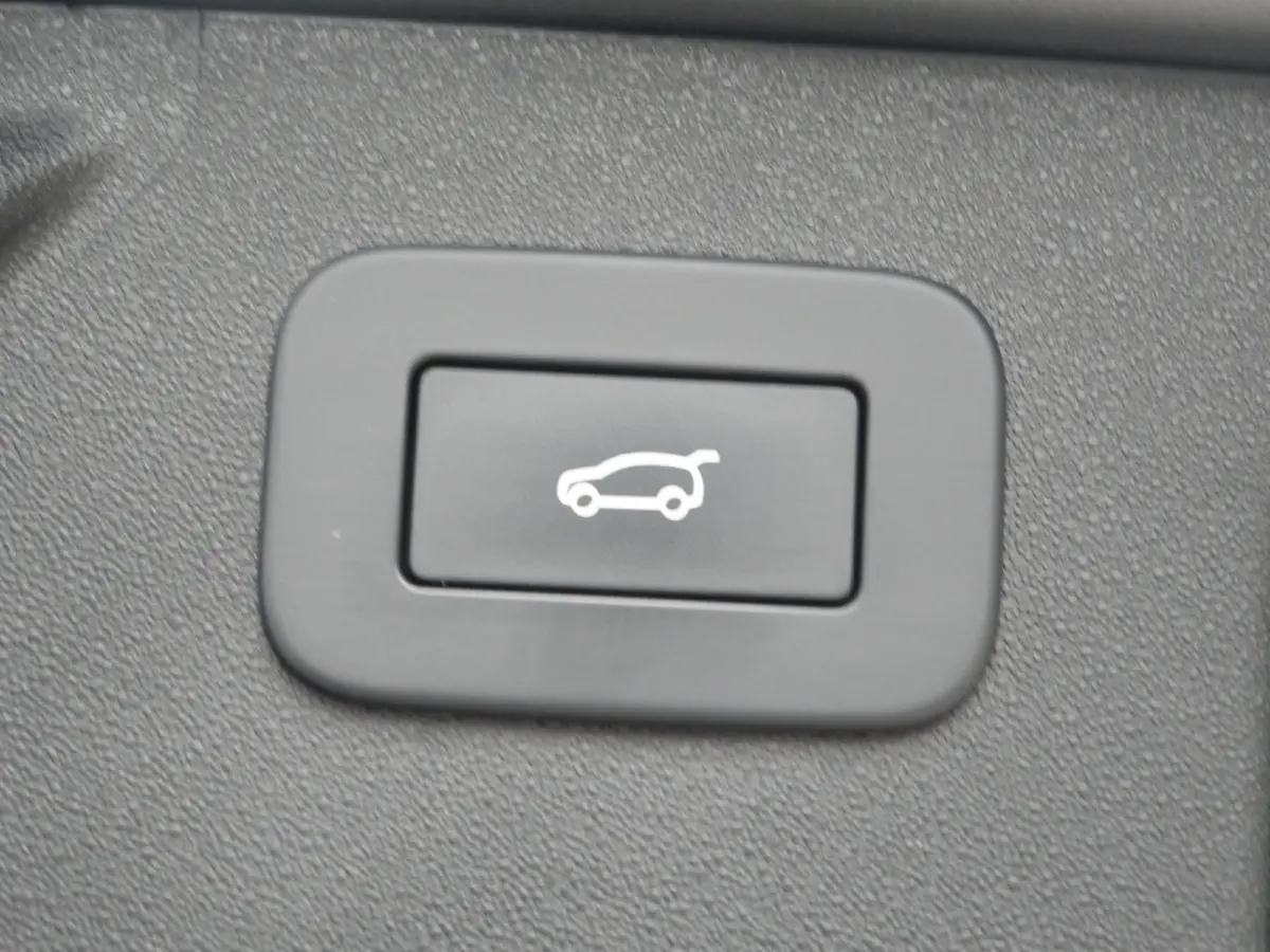 P300e 1.5 SE 309 Pk Automaat Navi / DAB / Apple Carplay / Leder / Camera