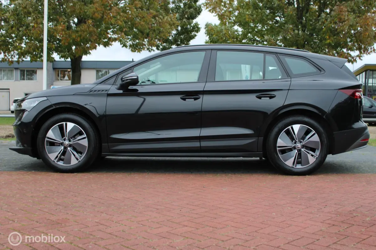 60 Sportline