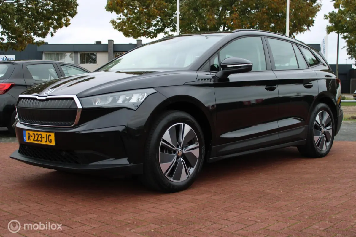 60 Sportline