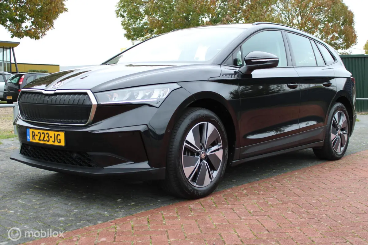 60 Sportline