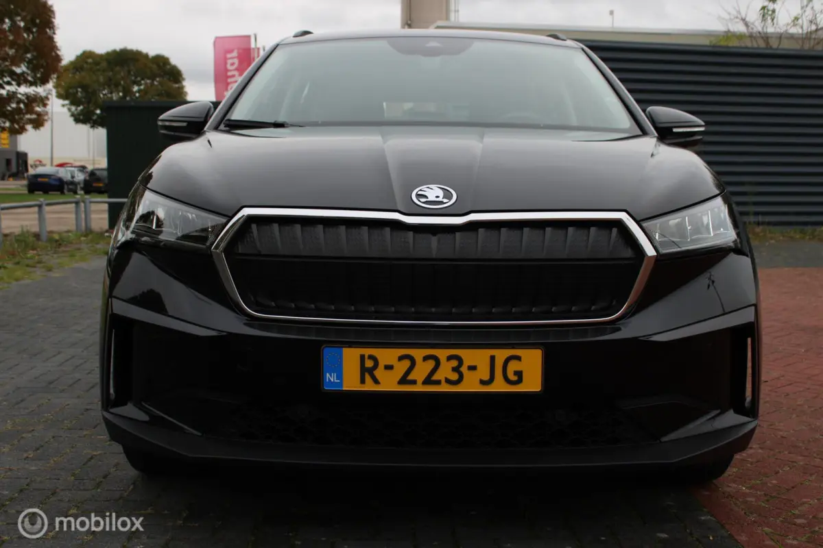 60 Sportline