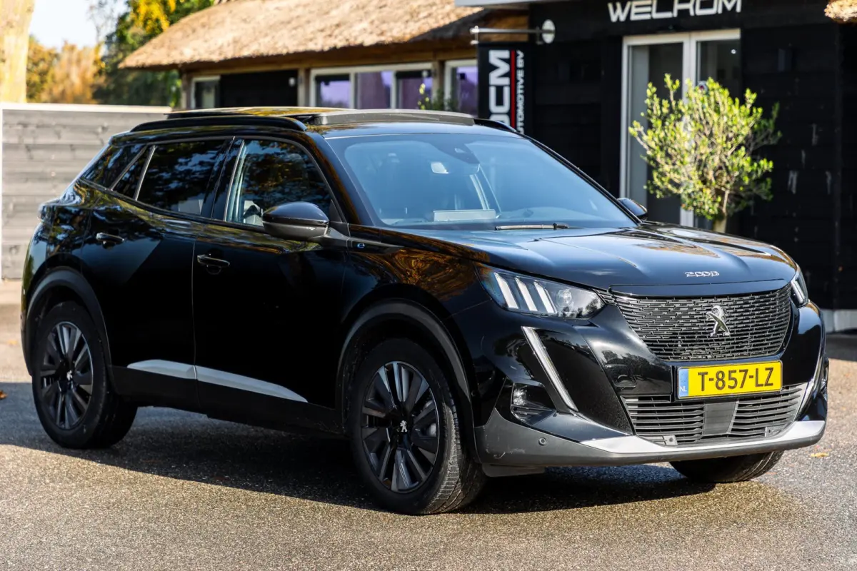 EV GT 50 kWh Soh 100% I Panoramadak I 360 Camera I 18 Inch I Alcantara I Zeer netjes I Geur & rookvrij