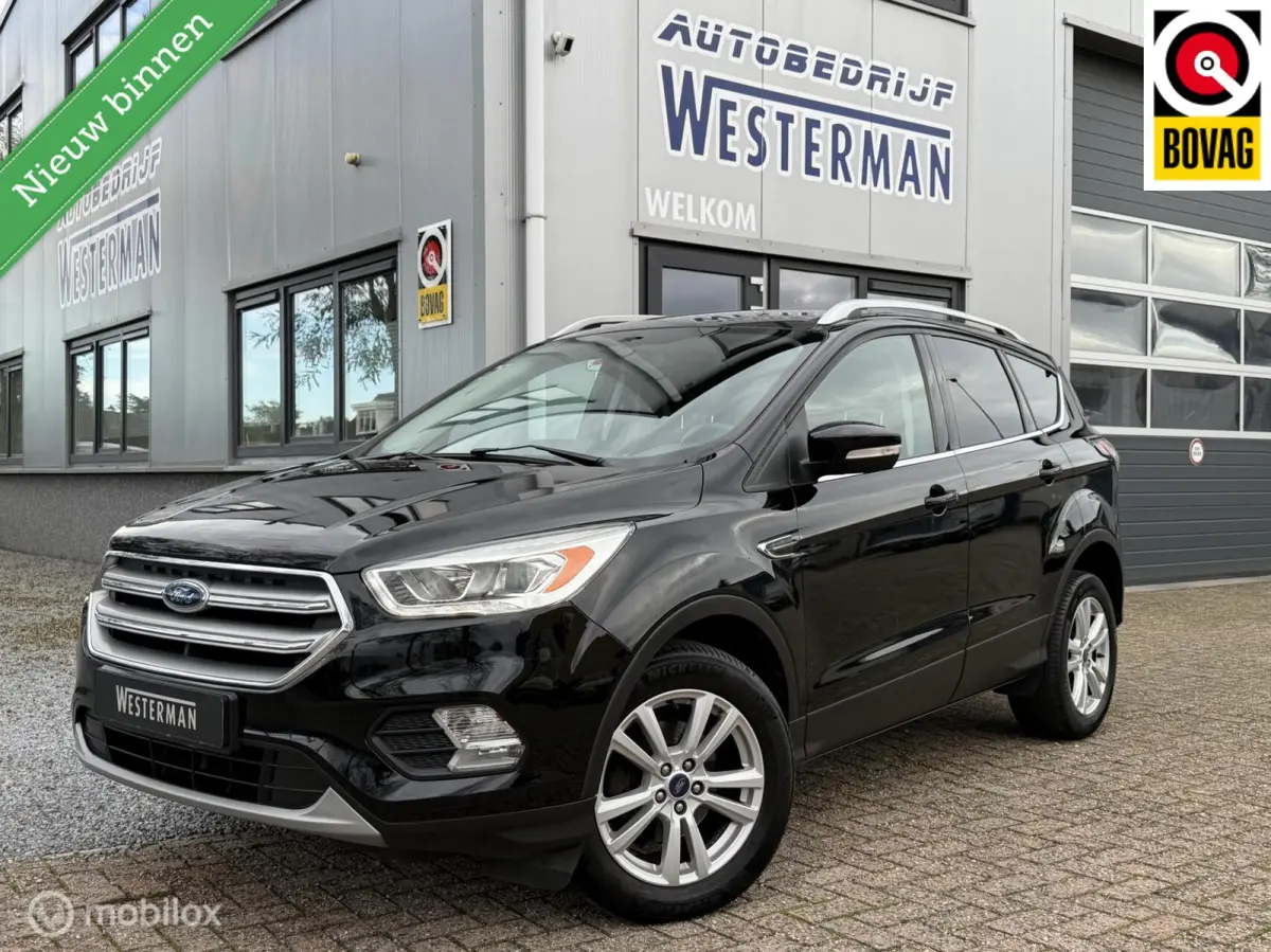 1.5 EcoBoost Trend Ultimate Ecc Cc Navi Pdc Trekh. Lmv etc.