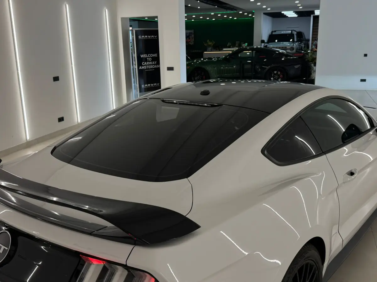 5.0 V8 GT Performance BLACK FRIDAY DEAL!
