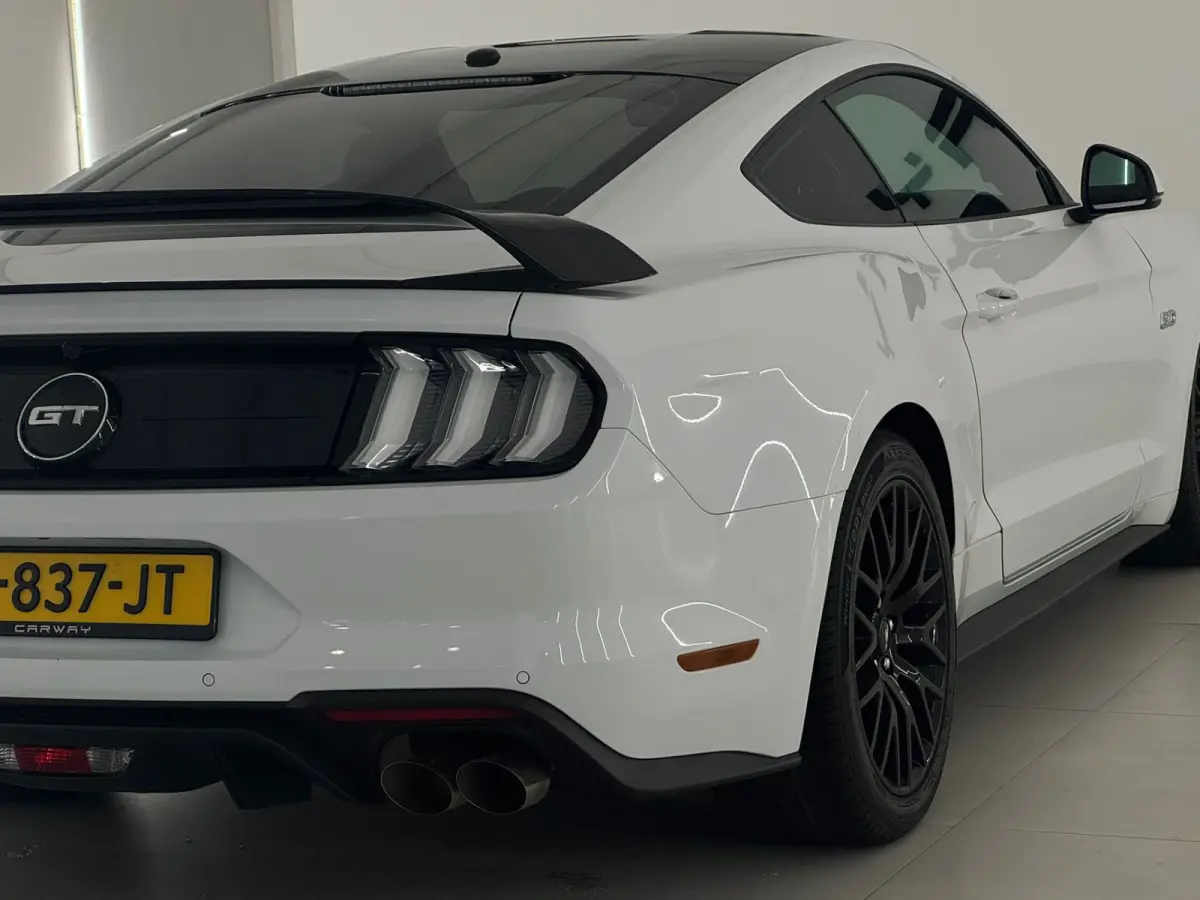 5.0 V8 GT Performance BLACK FRIDAY DEAL!