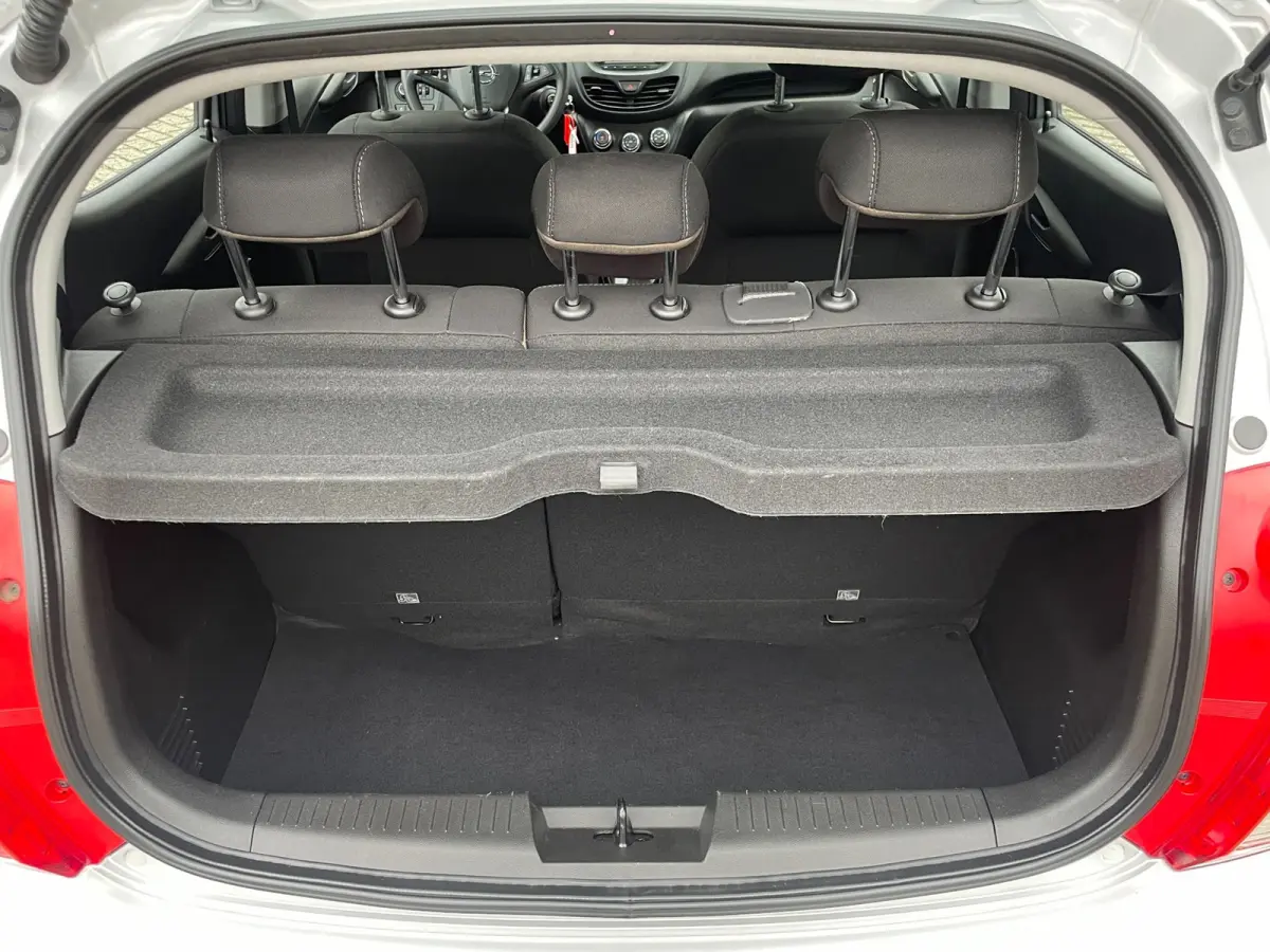 1.0 ecoFLEX 120 Jaar Edition | Org. NL-auto | 37000 km!!!!