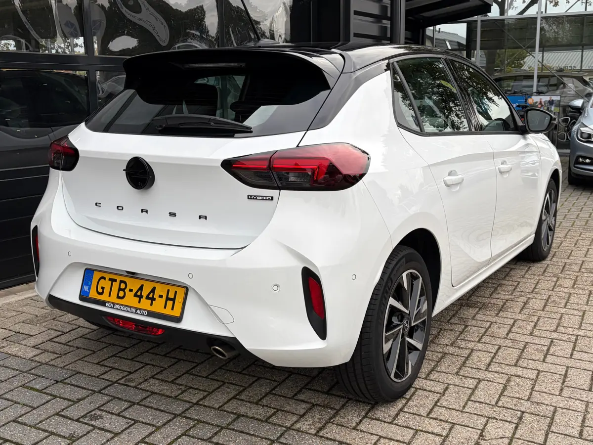 1.2 Turbo Hybrid 110 PK GS | DODEHOEK DETECTIE| CAMERA + PARKEERSENSOREN| APPLE CARPLAY/ANDROID AUTO| LED| DAB| SPORTSTOELEN| 16"LM-VELGEN| EERSTE EIGENAAR|