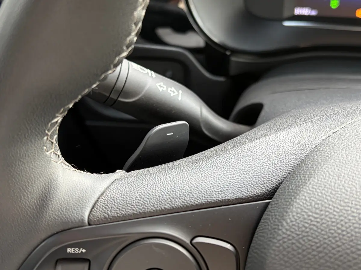 1.2 Turbo Hybrid 110 PK GS | DODEHOEK DETECTIE| CAMERA + PARKEERSENSOREN| APPLE CARPLAY/ANDROID AUTO| LED| DAB| SPORTSTOELEN| 16"LM-VELGEN| EERSTE EIGENAAR|