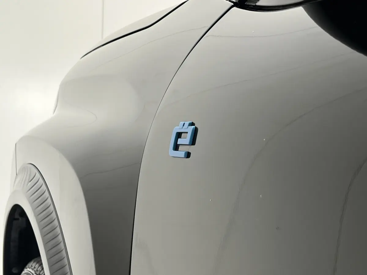Max 113pk Extended Range 54 kWh | Voorruit + stuur + stoelverwarming | Zeer compleet!