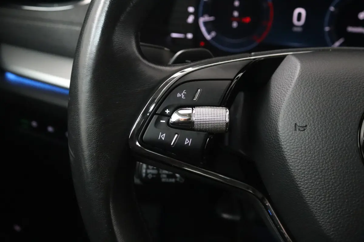 1.5 e-TSI Business Edition Plus (TREKHAAK, STOELVERWARMING, SFEERVERLICHTING, CAMERA)