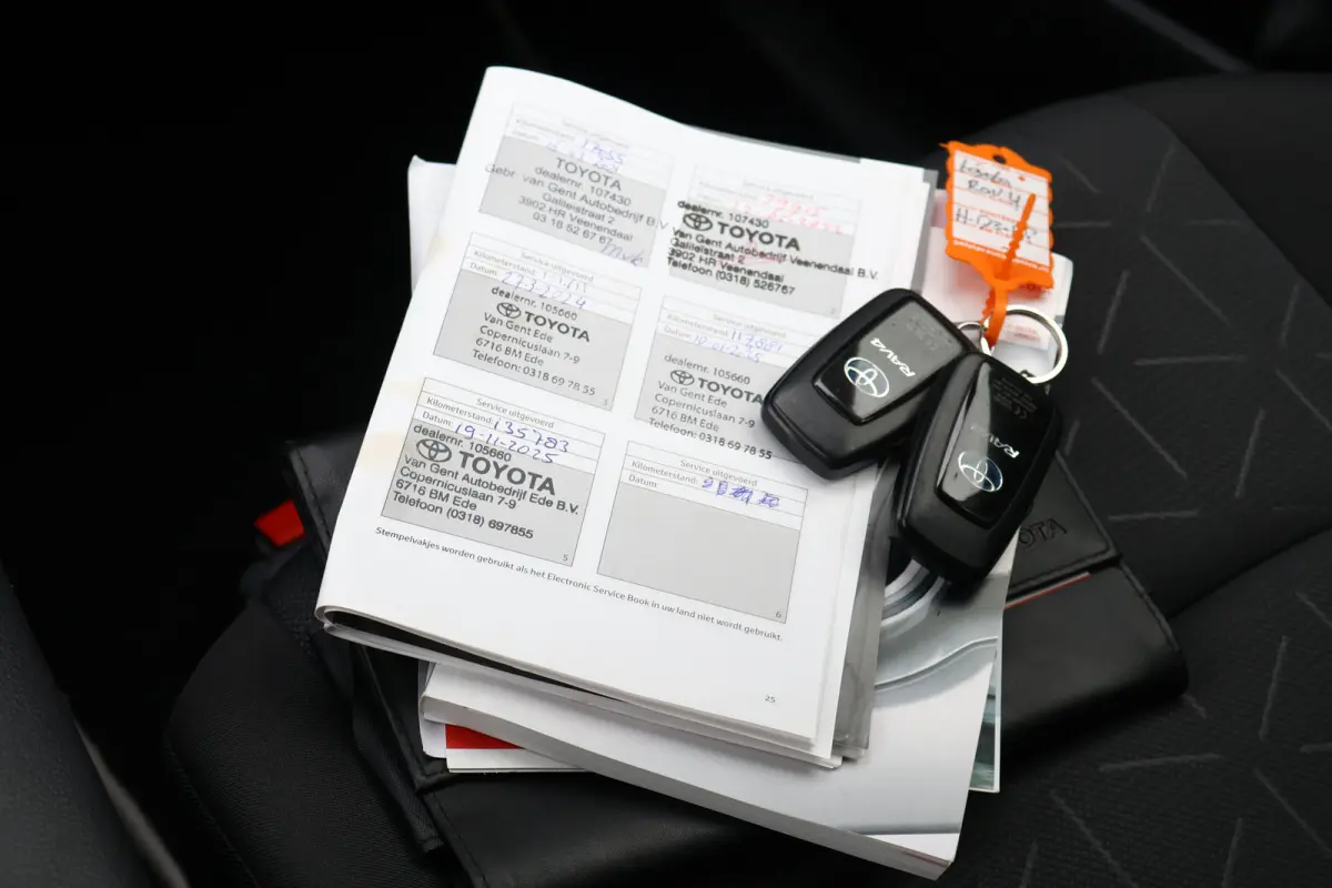 2.5 Hybrid Active 1e eigenaar | Trekhaak | Camera | Adaptieve Cruise Control