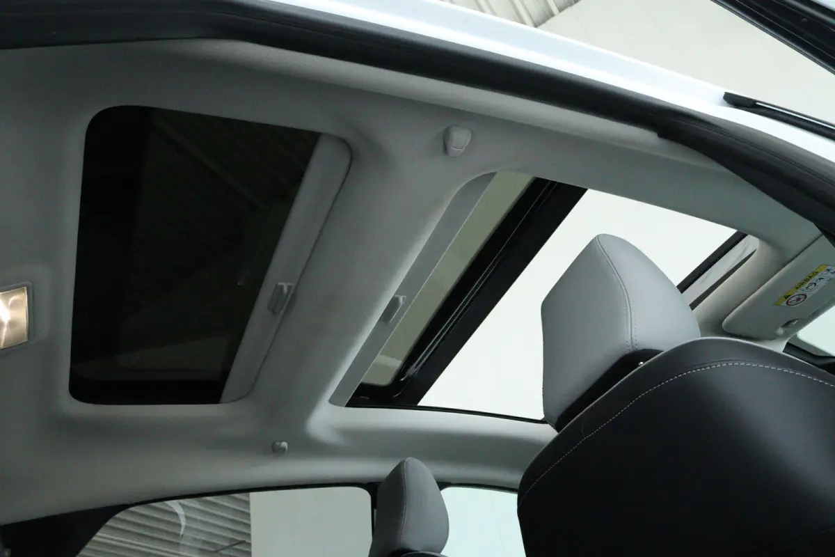 Premium 44 kWh | Adapt. Cruise | B&O | Schuifdak | 360 Camera | Stoel+Stuurverwarming | MATRIX | Keyless | Carplay | Navi | Climate |
