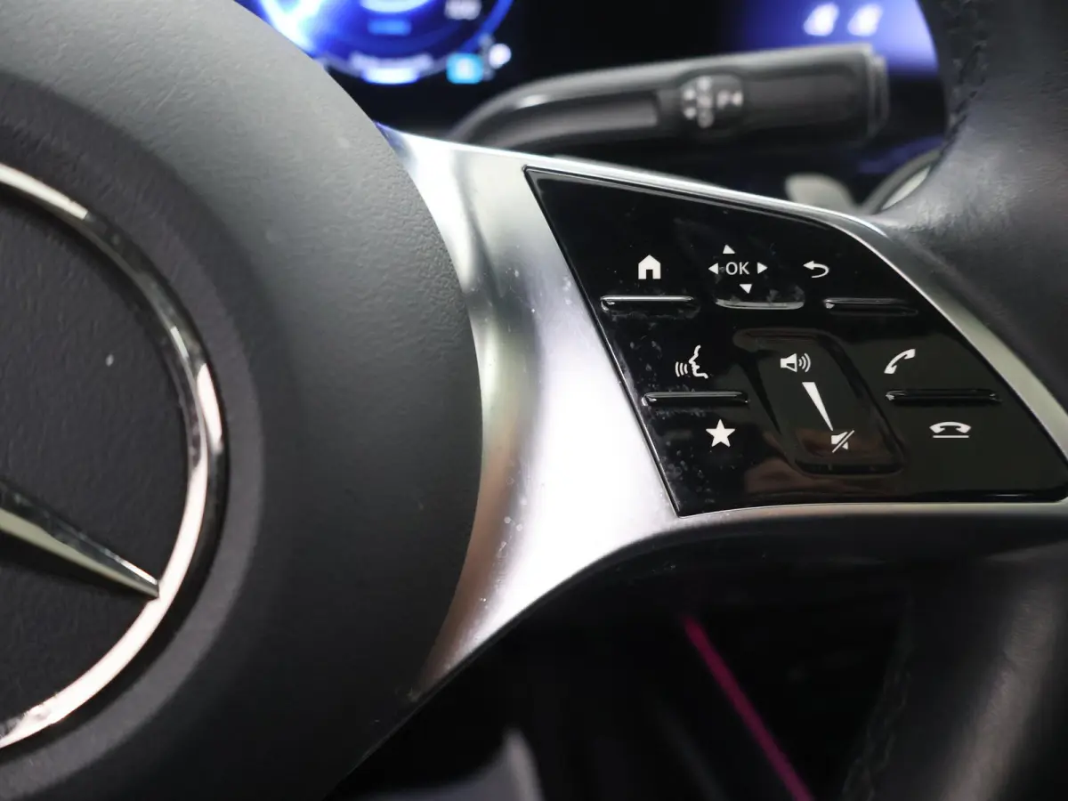 250+ Business Line LIMITED 71 kWh | Achteruitrijcamera | Stoelverwarming | Apple Carplay | Keyless |