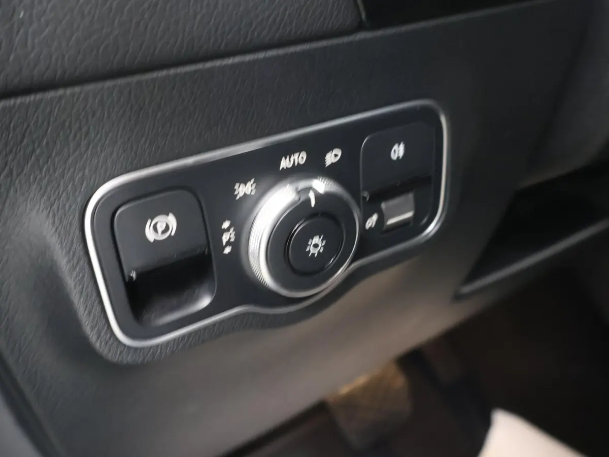 250+ Business Line LIMITED 71 kWh | Achteruitrijcamera | Stoelverwarming | Apple Carplay | Keyless |