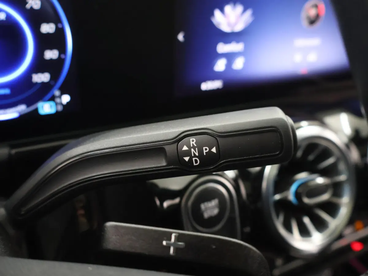 250+ Business Line LIMITED 71 kWh | Achteruitrijcamera | Stoelverwarming | Apple Carplay | Keyless |