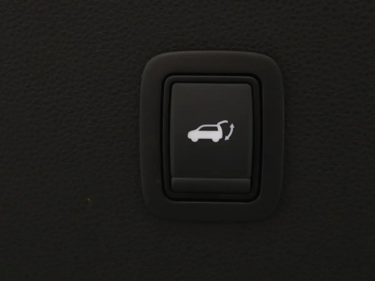 Hybrid 155pk Limited Edition Rondomzicht camera | Apple Carplay/Android Auto