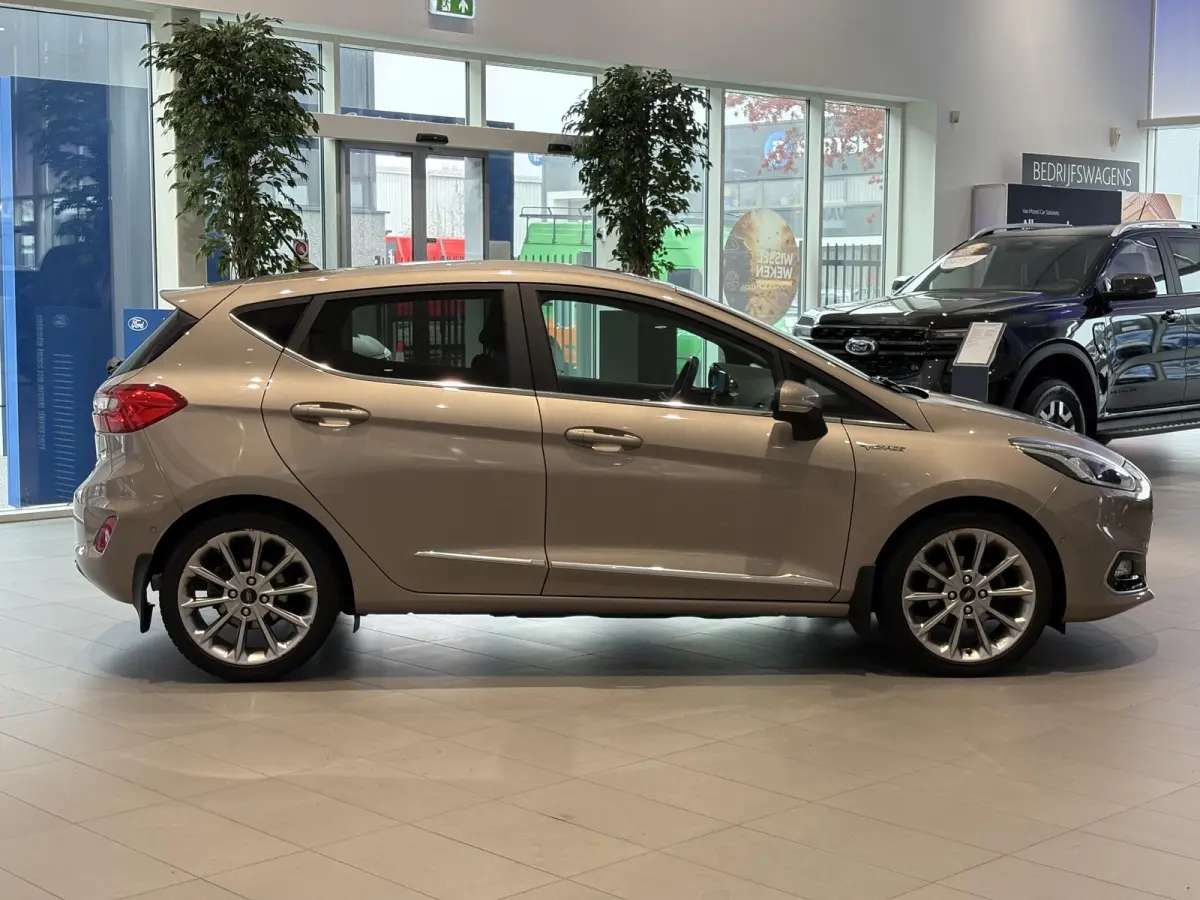 1.0 EcoBoost Vignale | HALF LEDEREN BEKLEDING | WINTER PACK | NAVI | B&O AUDIO | CAMERA | LM VELGEN |