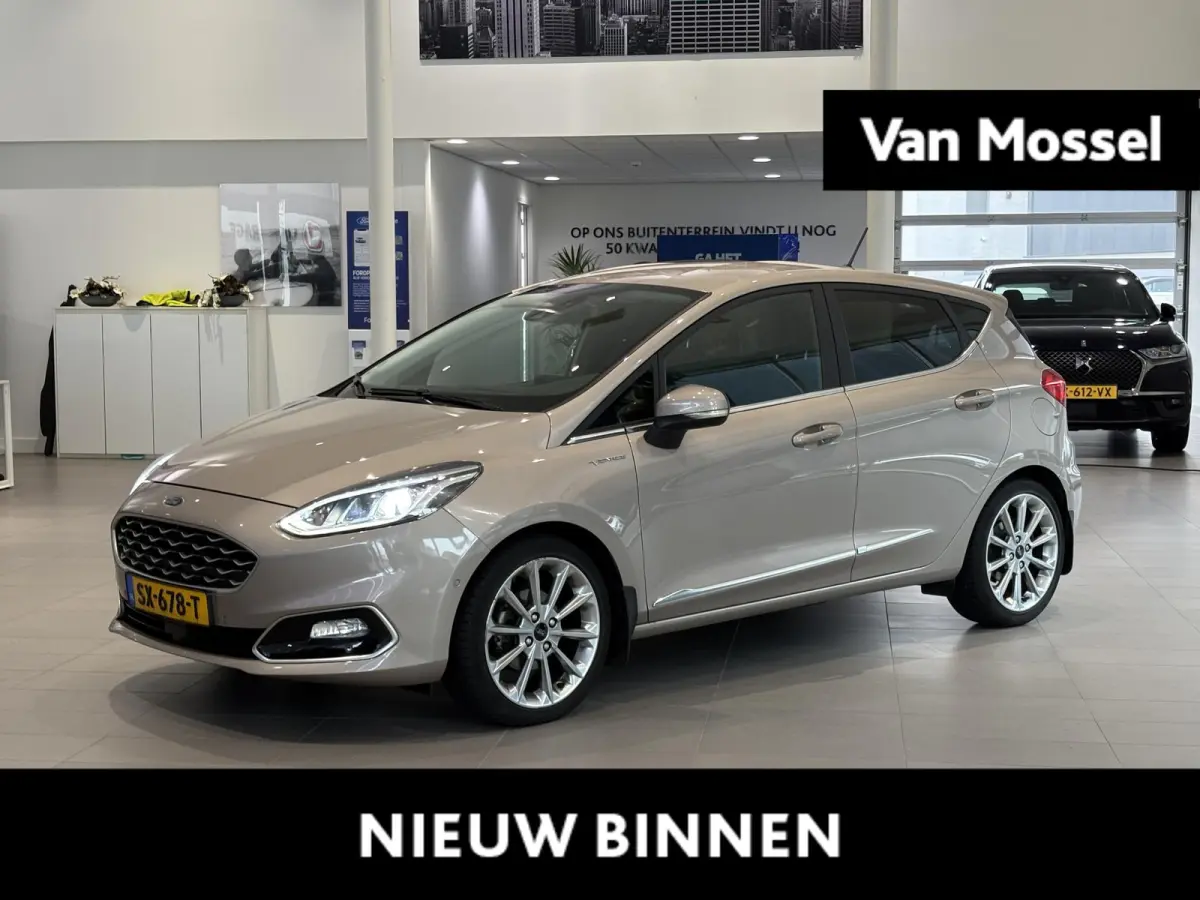 1.0 EcoBoost Vignale | HALF LEDEREN BEKLEDING | WINTER PACK | NAVI | B&O AUDIO | CAMERA | LM VELGEN |
