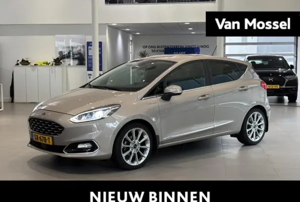 1.0 EcoBoost Vignale | HALF LEDEREN BEKLEDING | WINTER PACK | NAVI | B&O AUDIO | CAMERA | LM VELGEN |