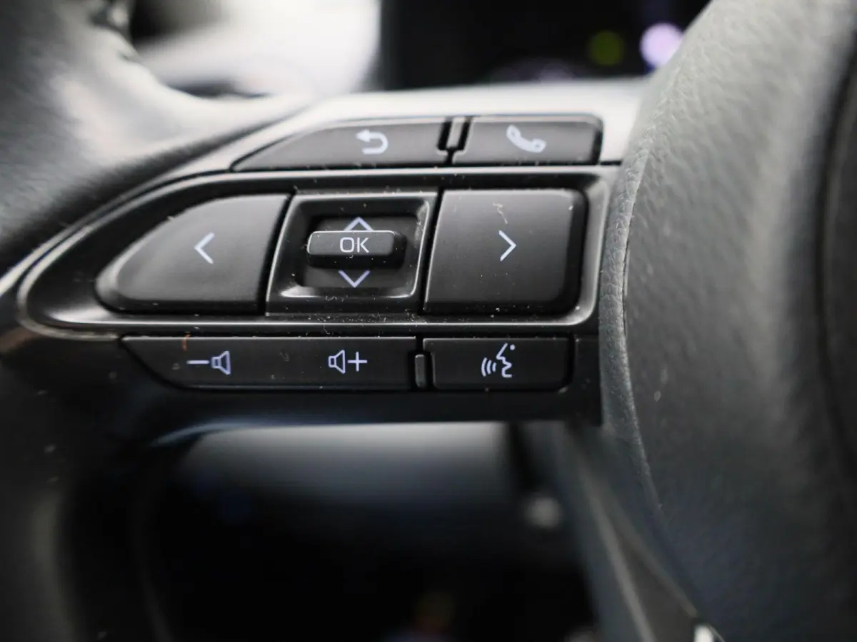 1.5 Hybrid Active | Automaat | Apple Carplay / Android Auto | Cruise Control | Achteruitrijcamera | Climate Control |
