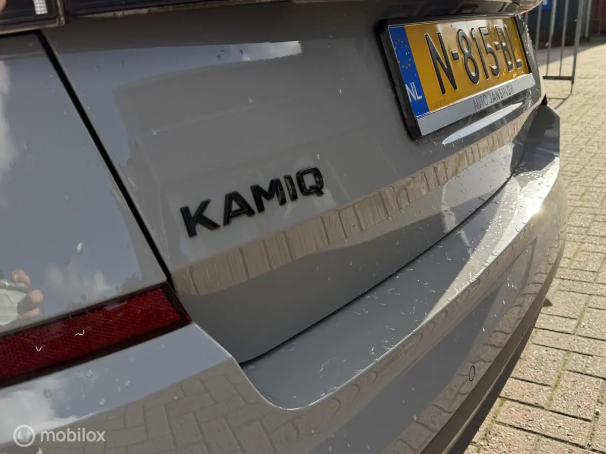 1.0 TSI Sport Business | Panoramadak | Clima | Sportstoelen | LM Velgen |