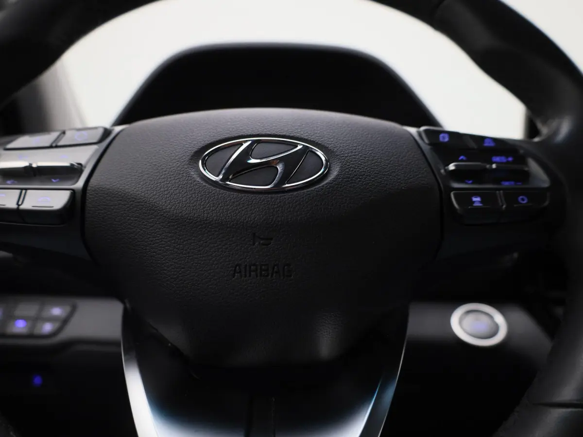 Comfort EV 38 kWh | APPLE/ANDROID CARPLAY | NAVIGATIE | LICHTMETALEN VELGEN | STOELVERWARMING | 12 MAANDEN BOVAG GARANTIE |