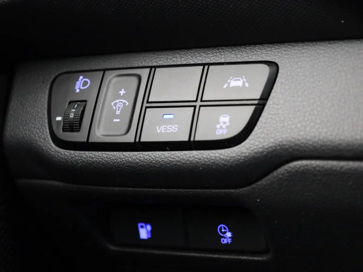 Comfort EV 38 kWh | APPLE/ANDROID CARPLAY | NAVIGATIE | LICHTMETALEN VELGEN | STOELVERWARMING | 12 MAANDEN BOVAG GARANTIE |