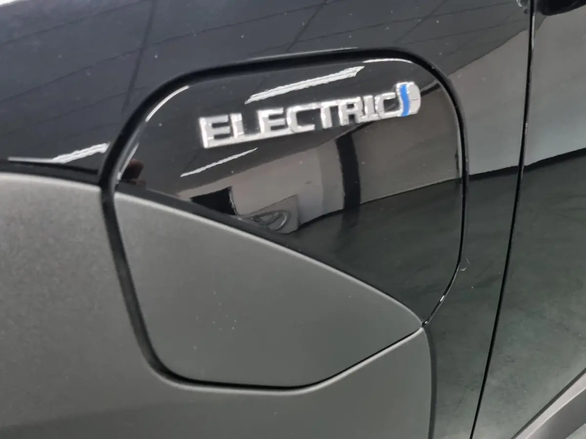 Dynamic 71 kWh / 360 gr. cam. / PDC / BSM