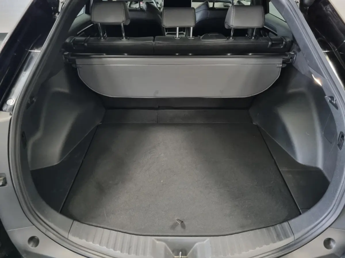 Dynamic 71 kWh / 360 gr. cam. / PDC / BSM