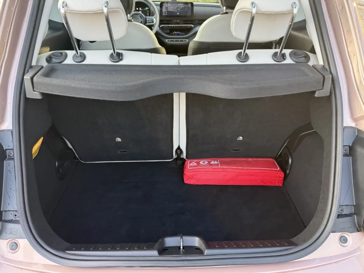 La Prima 42 kWh | Rose goud!! | Schuifdak | Leder | LED | Stoelen verw
