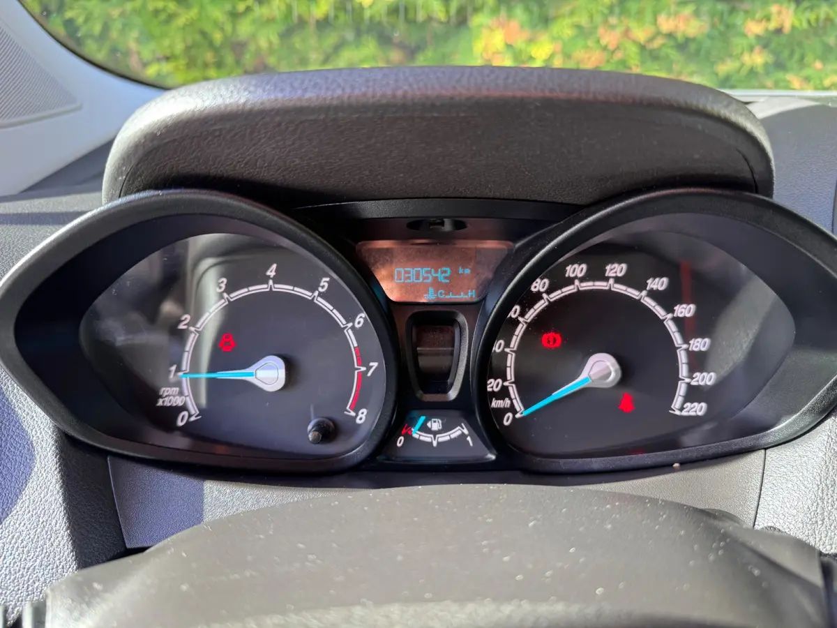 1.0 Trend EcoBoost S&S | Airco | Voorruitverwarming | Elektrische ramen