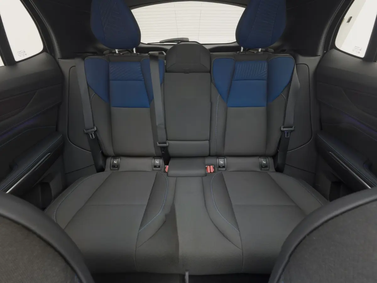1.5 Plug-in Hybrid | 360° | BLACK | ZWARTE HEMEL | NLD AUTO