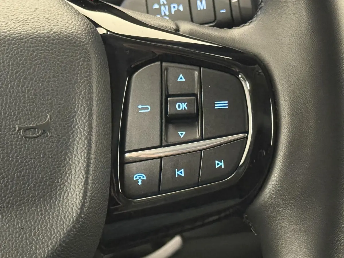 300 2.0 TDCI L2H1 EC Sport Nieuw Model Automaat Apple CarPlay Adaptive Cruise Control Navigatie Parkeersensoren Lichtmetalen velgen Trekhaak Camera Climate Control