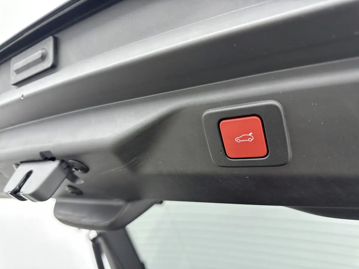 Launch Edition 325 Dual Motor 73 kWh Elec. Achterklep| Stoelverwarming| Elec. Stoelen| open dak