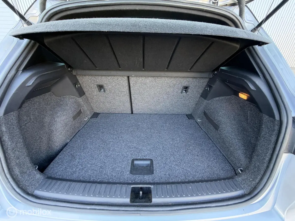 FR 1.5 TSI 150PK EVO FR Business Intense 2020 / Trekhaak / Carplay / Camera / Navigatie / NAP