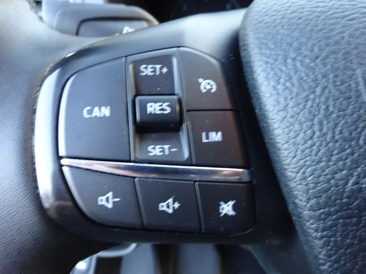 320 2.0 TDCI L2H1 Trend AUTOMAAT AIRCO CRUISE CONTROL PDC