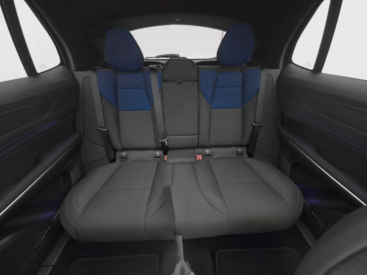 1.5 Plug-in Hybrid | 360° | BLACK | ZWARTE HEMEL | NLD AUTO