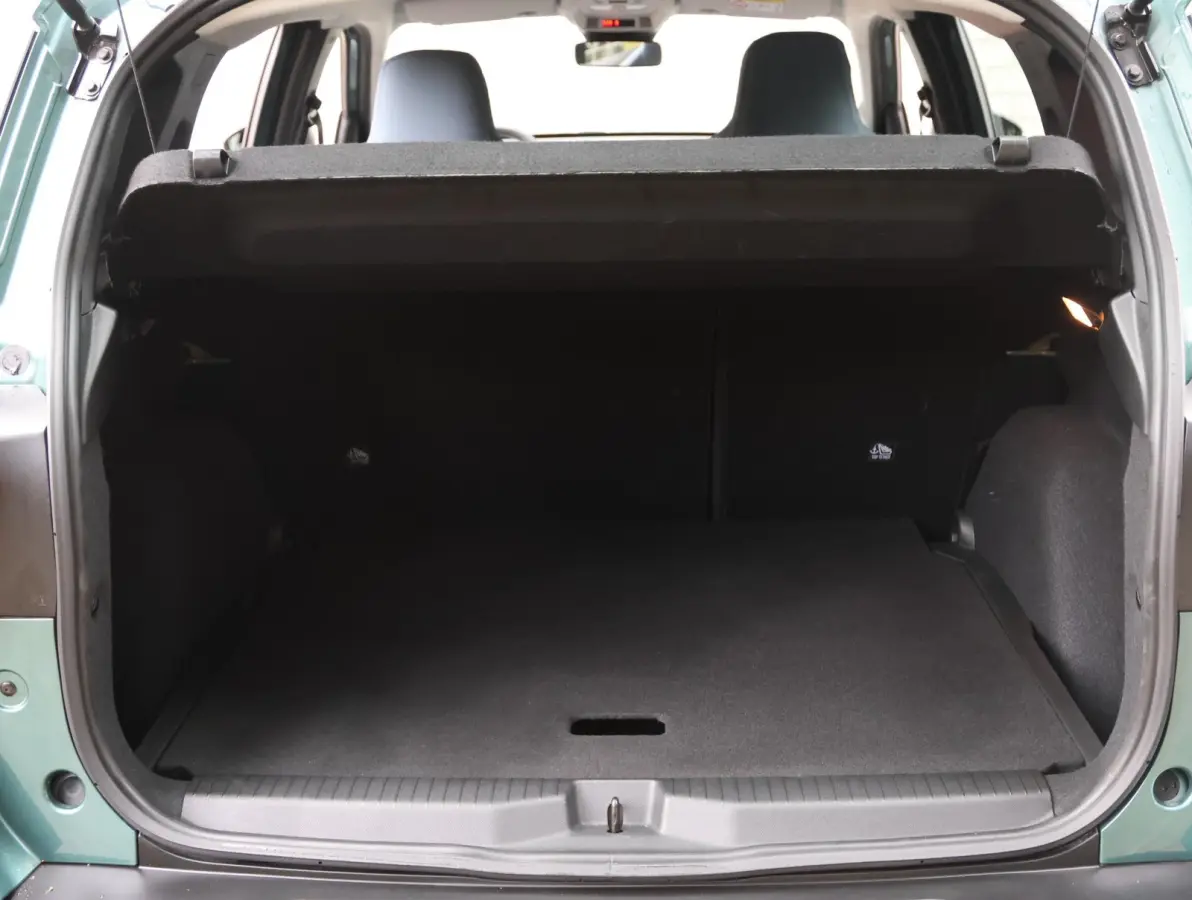 Edition 44 kWh | Accutest 94 % | Camera | Navigatie | Android Auto & Apple Carplay |