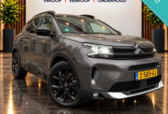 1.6 Plug-in Hybrid 225 SHINE/PANODAK/TREKH/NAVI/LEER